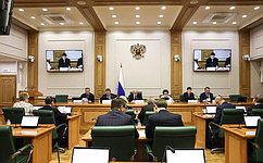 Сенаторы предварительно поддержали поправки в УК РФ и законодательство о прохождении воинской службы