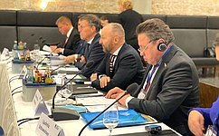 В. Тимченко: Российские парламентарии готовы к конструктивному диалогу и развитию добрососедских отношений с Германией