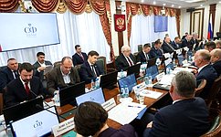 Сенаторы профильных комитетов СФ рассмотрели вопросы национальной безопасности России в контексте ситуации на Ближнем Востоке и в Африке