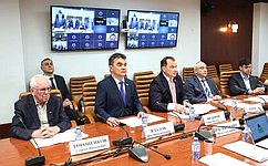 В Совете Федерации обсудили использование отечественных информационных технологий в топливно-энергетическом комплексе