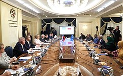 В. Матвиенко: Россия выступает за расширение традиционно дружественных связей с Сомали