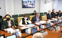 Комитет СФ по социальной политике рекомендовал к одобрению ряд федеральных законов