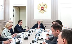 В СФ обсудили финансовые механизмы реализации закона о местном самоуправлении