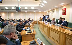 В. Матвиенко: Успех программы «Цифровая экономика» невозможен без участия регионов