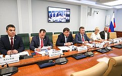 Ход реализации плана модернизации магистральной инфраструктуры на период до 2024 года обсудили в Совете Федерации