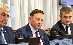 А. Ролик: Рабочая группа позволяет детально обсудить предложения в законопроект о едином префрежиме с учётом мнения регионов