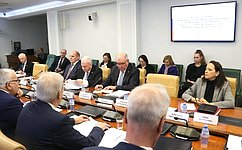 В Совете Федерации состоялся обмен мнениями о перспективах функционирования международных институтов