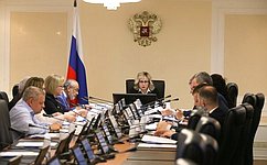 В Совете Федерации обсудили вопросы совершенствования законодательного регулирования прав лиц, содержащихся под стражей