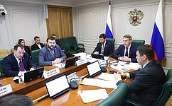 Комитет СФ по экономической политике обсудил меры, направленные на устойчивое развитие «Почты России»