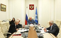 Russian Senators discuss anti-terrorism cooperation with other parliamentary assemblies