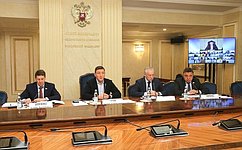 А. Турчак провел Совет по местному самоуправлению при Совете Федерации