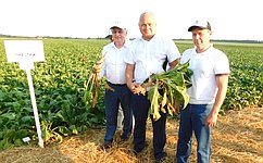 А. Кондратенко ознакомился с селекционными достижениями кубанских аграриев