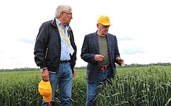 В. Бекетов: Аграрная наука сохранила свой потенциал в области селекции и семеноводства сельскохозяйственных культур