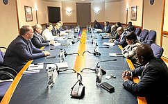 Meeting of the Federation Council and the National Council of the Republic of Namibia’s cooperation groups in Windhoek