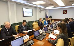 Вопросы формирования благоприятной среды для предпринимателей обсудили в Совете Федерации