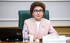 Г. Карелова: Предлагаем обсудить проект новой Стратегии государственной национальной политики на период до 2036 года на площадке Совета Федерации