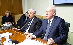 Стратегическое развитие и приоритетные проекты в экономике Татарстана рассмотрел Комитет СФ по экономической политике