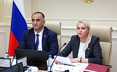 Сенаторы обсудили методы реабилитации инвалидов боевых действий через занятия спортом