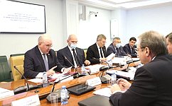 Сенаторы и представители профильных министерств и ведомств обсудили возможности парламентского сотрудничества с Сирией