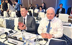 Сенаторы РФ приняли участие в работе Парламентской конференции в рамках X Всемирного водного форума