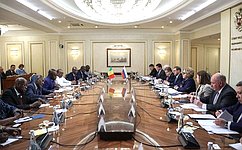 Председатель Совета Федерации провела встречу с Председателем Национального переходного совета Республики Мали