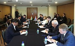 Председатель Совета Федерации и Президент Боливии обменялись мнениями о развитии российско-боливийских отношений