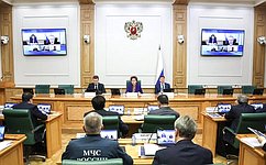 Г. Карелова провела заседание Совета по вопросам развития Дальнего Востока, Арктики и Антарктики