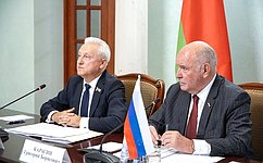 Г. Карасин: Профильные комитеты верхних палат парламентов России и Беларуси заявили о стремлении усилить координацию действий