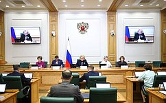 Комитет СФ по науке, образованию и культуре обсудил законопроекты в сфере организации детского отдыха и сохранения ОКН