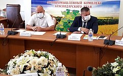 А. Кондратенко: Закон о селекции и семеноводстве — основополагающий документ для аграрной Кубани