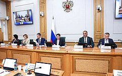 Комитет СФ по социальной политике обсудил с Министром спорта подготовку к «правительственному часу» 591-го заседания Совета Федерации