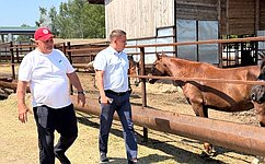 А. Гибатдинов провел рабочую поездку по сельским районам Ульяновской области