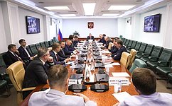 Сенаторы и эксперты обсудили вопросы развития объектов отдыха и туризма в ДНР, ЛНР, Запорожской и Херсонской областях