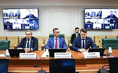 Сенаторы и эксперты обсудили проблемы бесхозяйного имущества в Российской Федерации