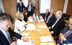 В. Матвиенко: Российские парламентарии продолжают продвигать палестинский вопрос в межпарламентских структурах