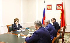 Г. Карелова обсудила ход реализации национальных проектов в Воронежской области