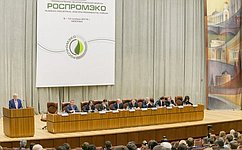 Сенаторы приняли участие в обсуждении вопросов законодательного обеспечения устойчивого развития России