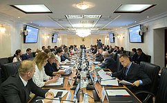 С. Горячева: Законопроект о государственном и муниципальном контроле будет ключевым для реформы контрольно-надзорной функции