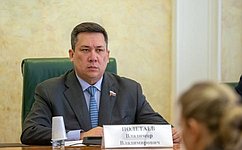 В. Полетаев провел «круглый стол», посвященный совершенствованию системы принудительного исполнения судебных актов