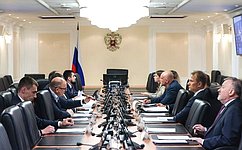 В Совете Федерации обсудили поддержку производства в стране гражданских беспилотных авиационных систем
