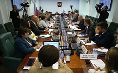 В Комитете СФ по социальной политике обсудили вопросы развития в Севастополе здравоохранения и спорта