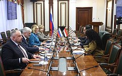Inna Svyatenko: Interparliamentary dialogue makes an important contribution to the development of Russian-Egyptian strategic partnership