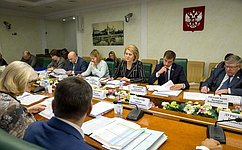В Совете Федерации состоялось совещание по подготовке заключения на проект бюджета ФОМС на 2020 – 2022 годы