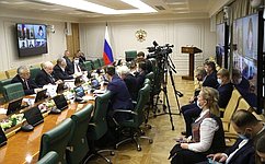 В Совете Федерации обсудили международный и российский опыт гражданства, безгражданства и двойного гражданства