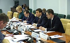 В Совете Федерации проанализировали реализацию изменений в законодательство по технологическому присоединению к электросетям