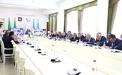 Meeting of the Commission on Cooperation between the Federation Council and the Senate of the Oliy Majlis of Uzbekistan