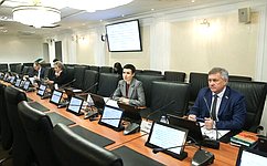 В Совете Федерации обсудили правовое обеспечение развития системы казачьего образования в стране