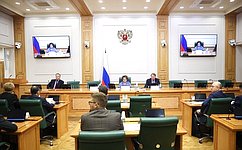 Профильный Комитет СФ поддержал сенаторскую инициативу, уточняющую понятия электронного голосования и ДЭГ