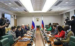 Grigory Karasin met with representatives of the Economic and Social Council of the Central African Republic