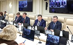 Сенаторы и эксперты обсудили вопросы профессиональной этики в деятельности должностных лиц органов публичной власти в регионах